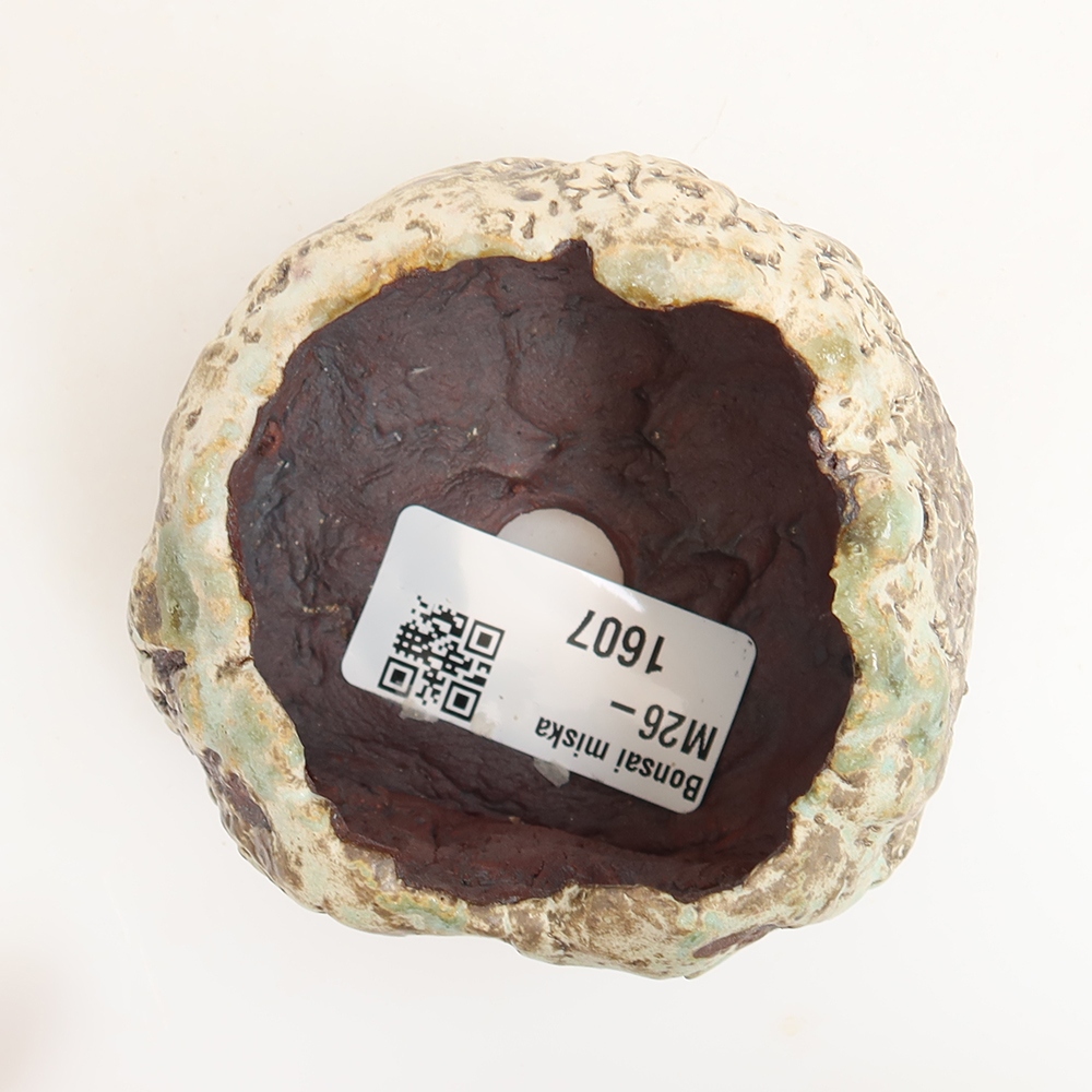 Ceramic Shell, 6 x 5 x 5 cm, green