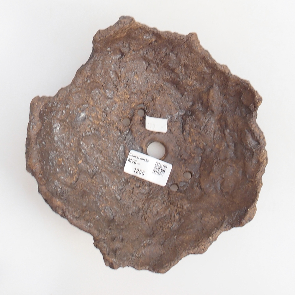 Ceramic shell 19 x 15 x 14 cm , colour brown