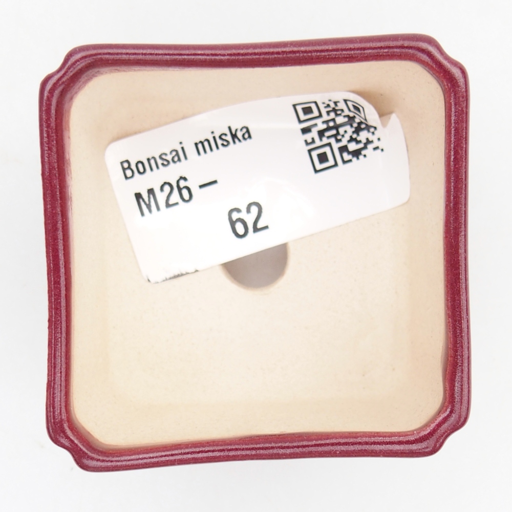 Mini bonsai bowl 5 x 5 x 3 cm, burgundy