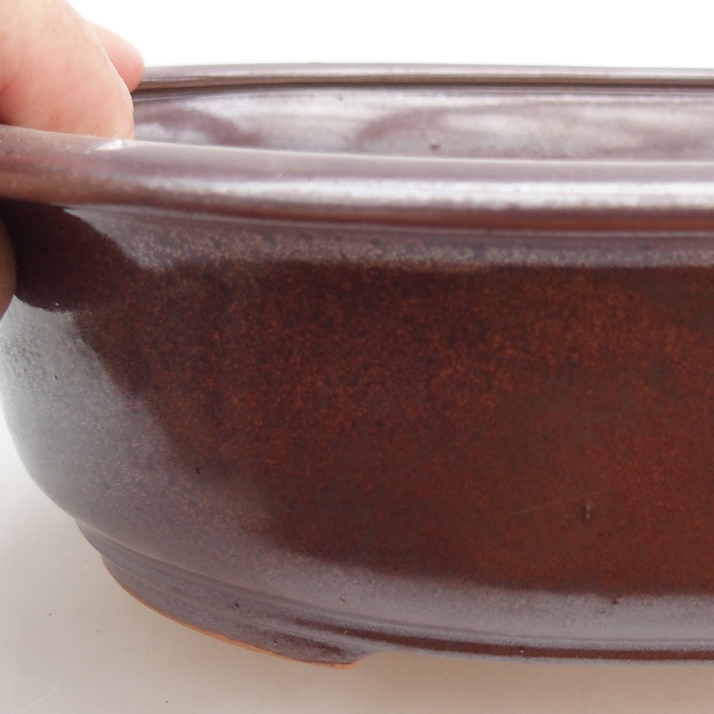 Ceramic bonsai bowl 23 x 19 x 7 cm, burgundy