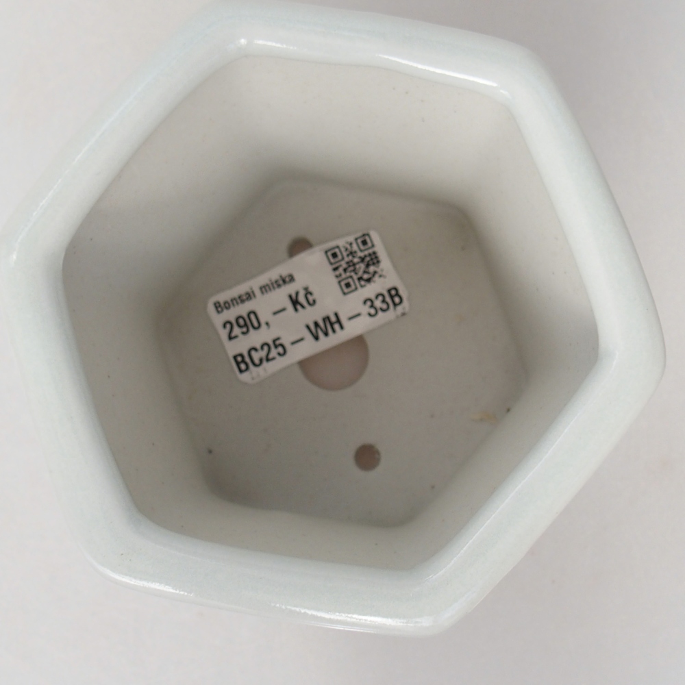 Ceramic bonsai bowl 10,5 x 9,5 x 9 cm, colour white