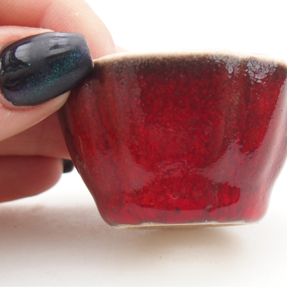 Mini bonsai bowl 4,5 x 4,5 x 2,5 cm, colour red