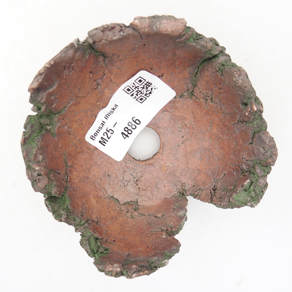 Ceramic Shell 8,5 x 8,5 x 5 cm , green color