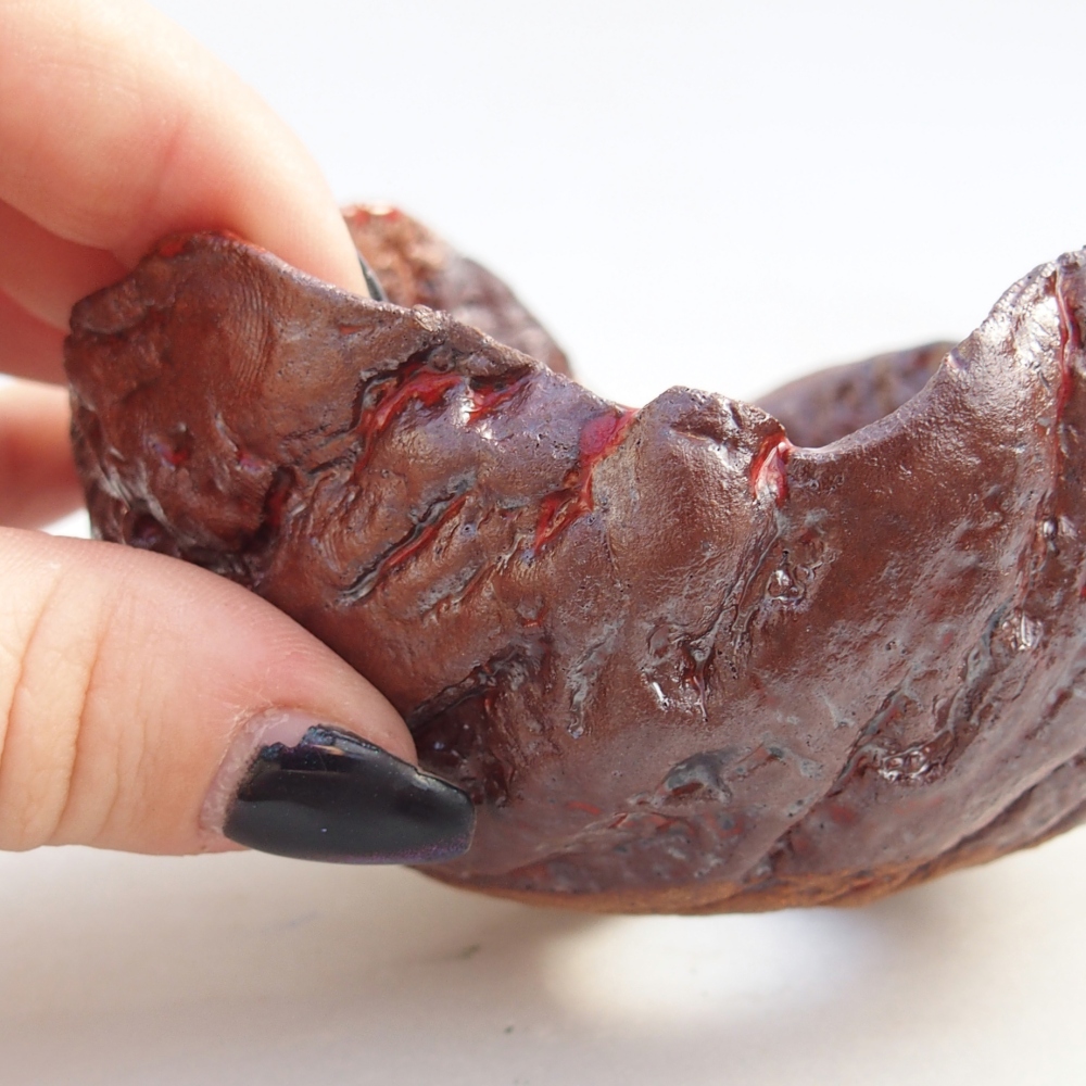 Ceramic Shell 10 x 9,5 x 6 cm , colour brown