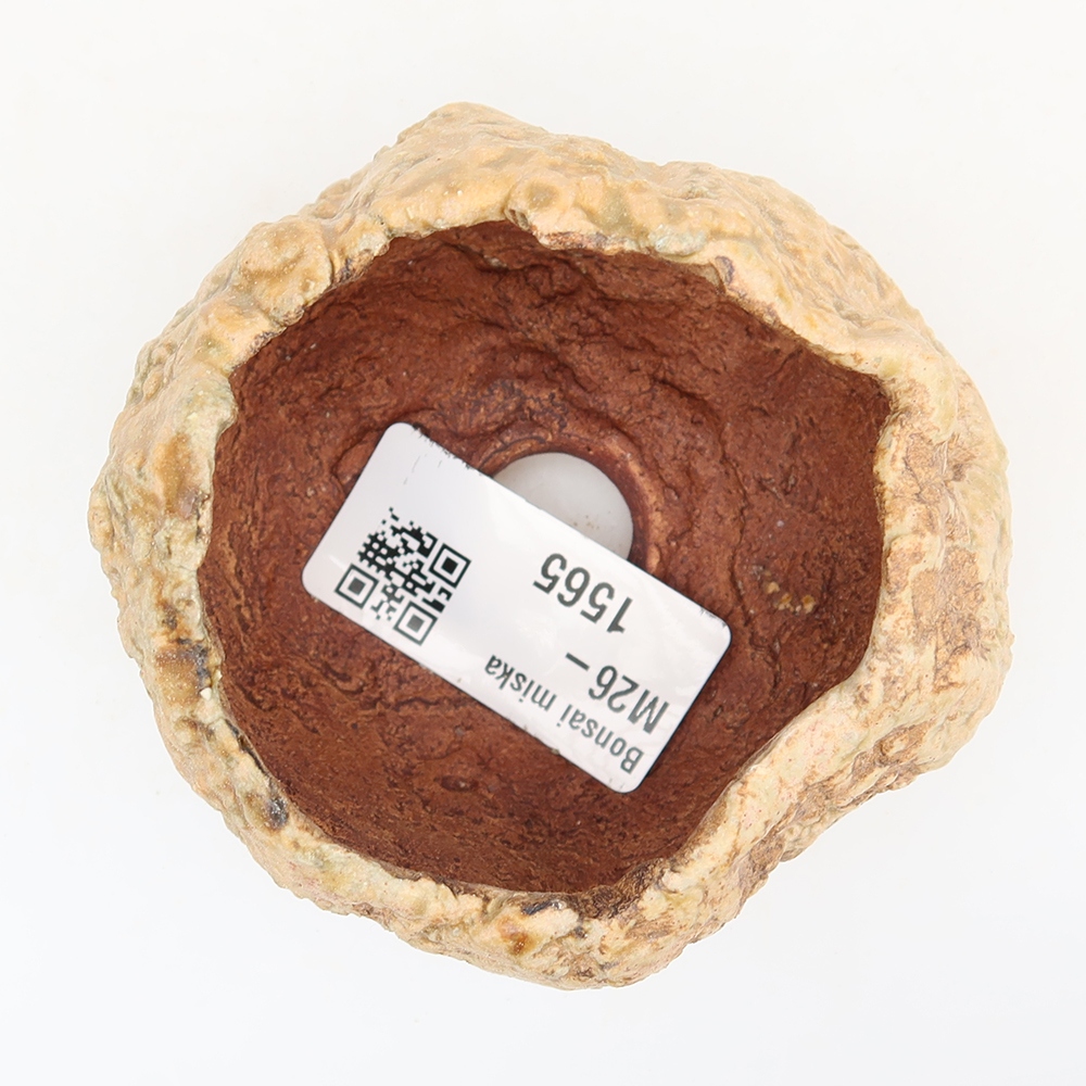 Ceramic Shell, 5.5 x 5.5 x 5 cm, brown