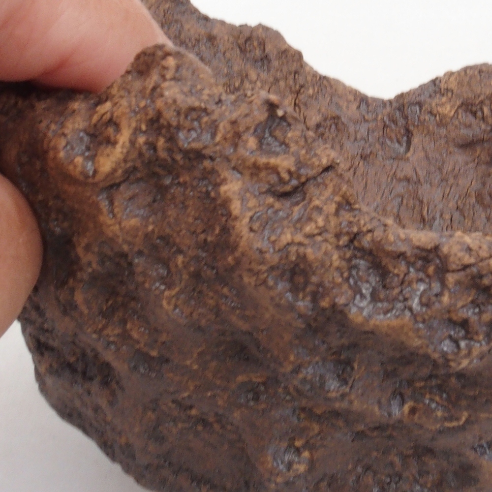Ceramic shell 13,5 x 11 x 13 cm, brown color