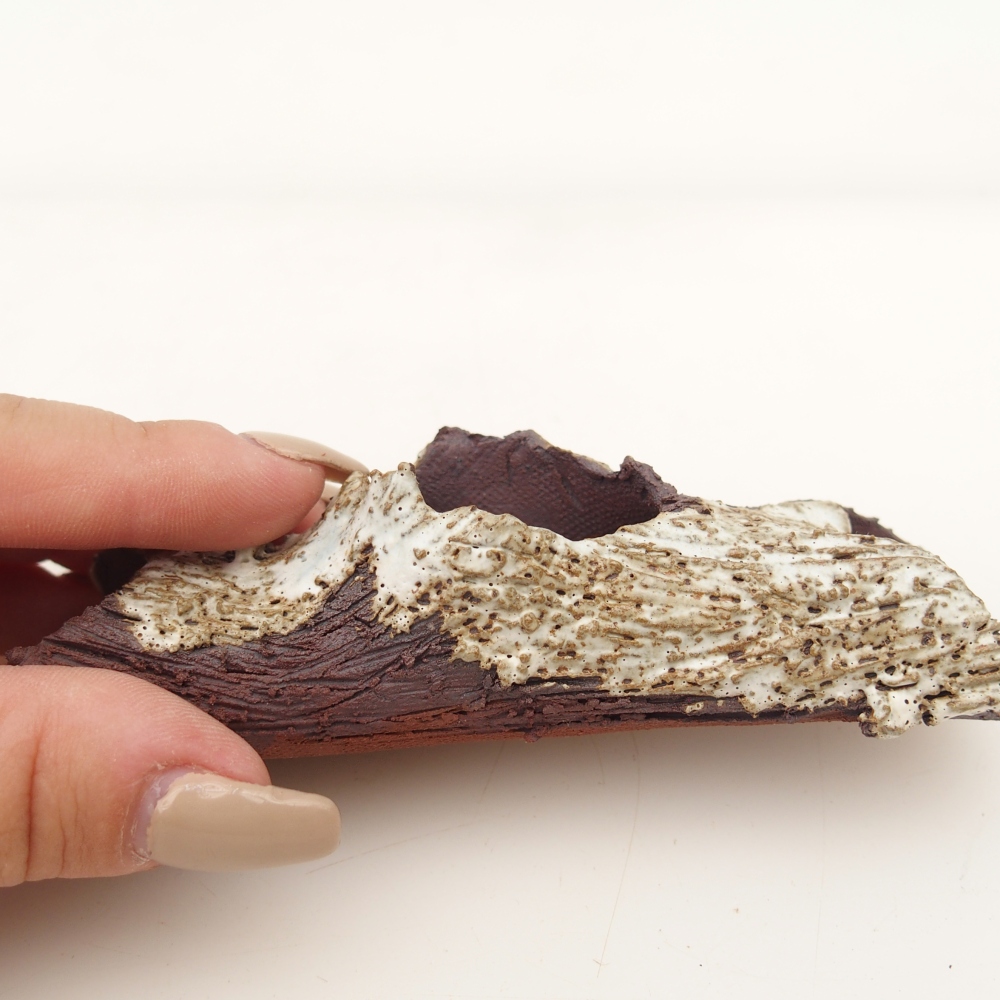 Ceramic Shell 11 x 4 x 3 cm , colour beige