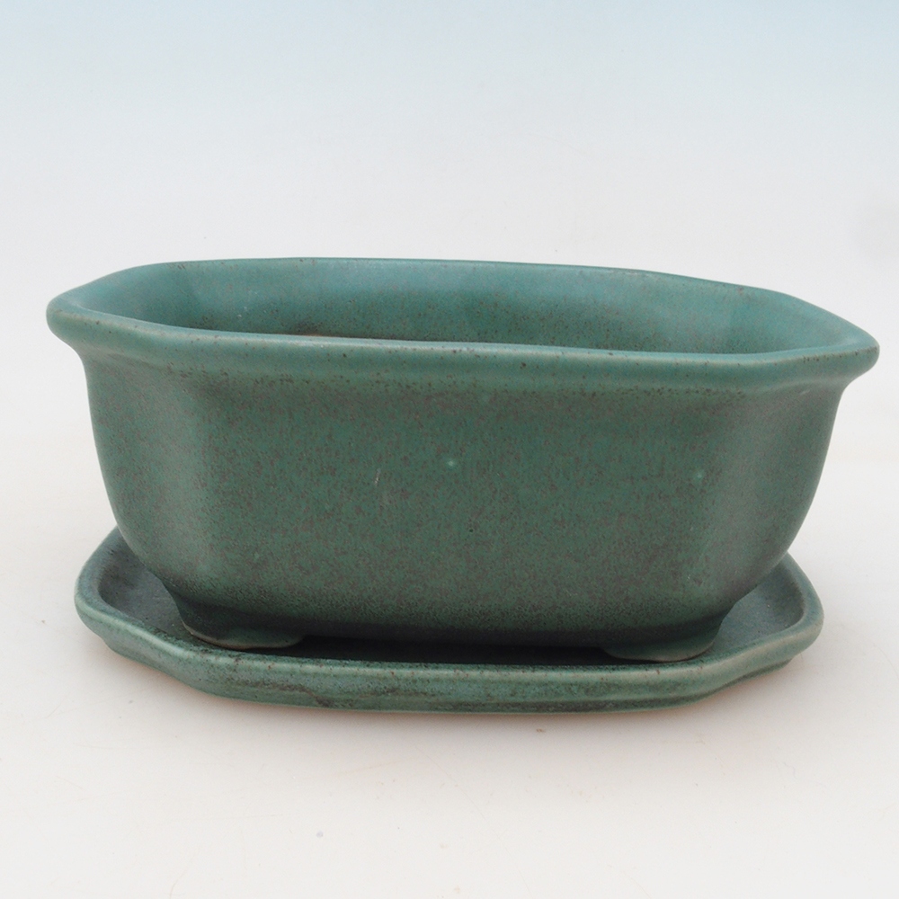 Bonsai bowl + saucer H31 - green