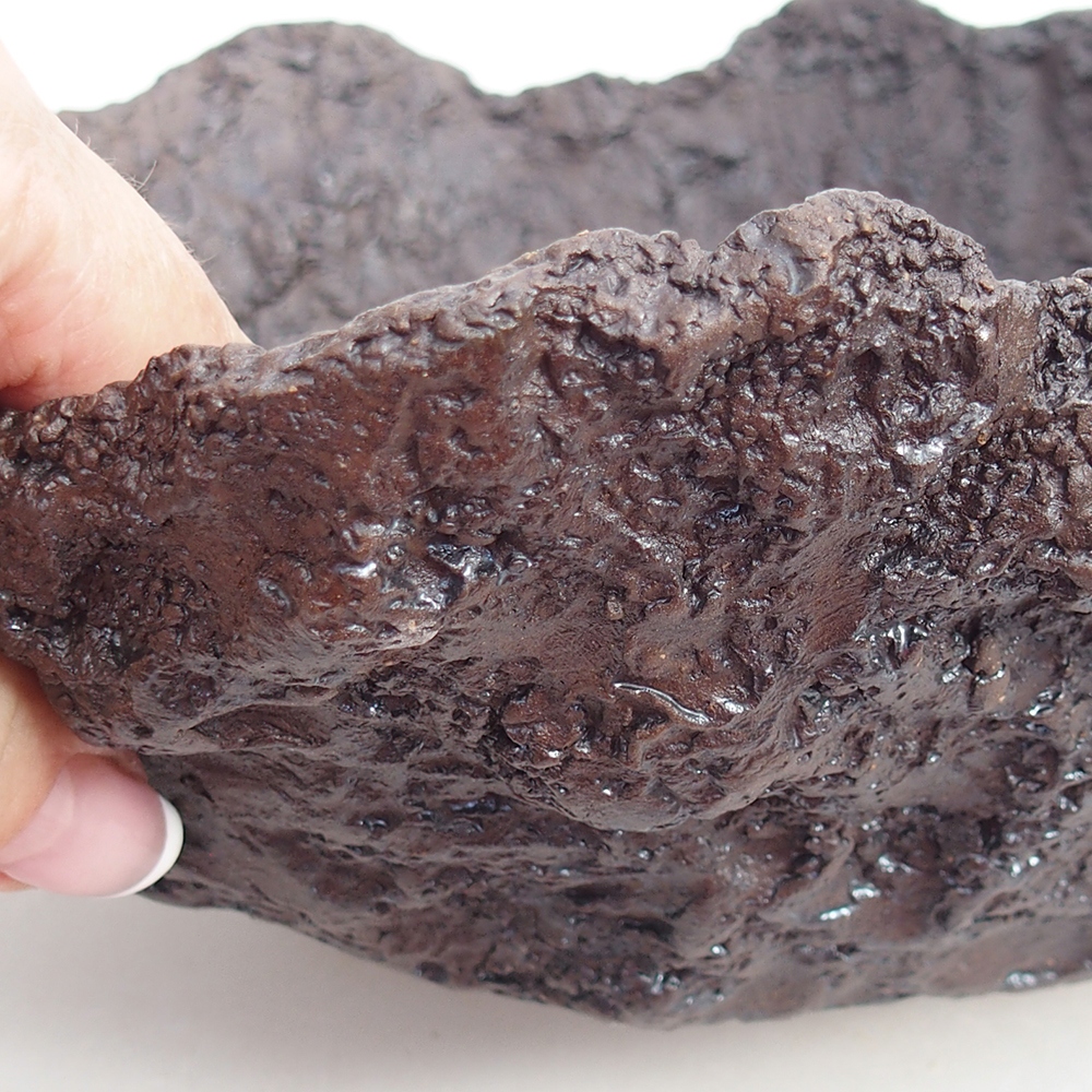 Ceramic shell 19 x 15 x 14 cm , colour brown