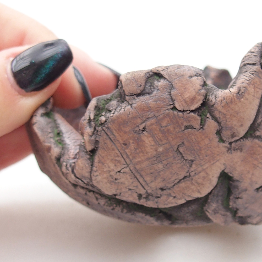 Ceramic Shell 8,5 x 6 x 6,5 cm , colour green