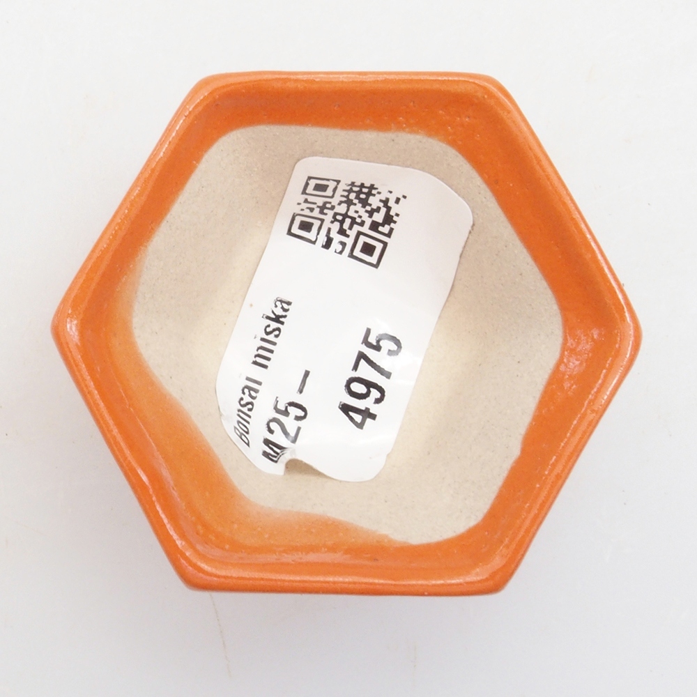 Mini bonsai bowl 5 x 4,5 x 2,5 cm, color orange