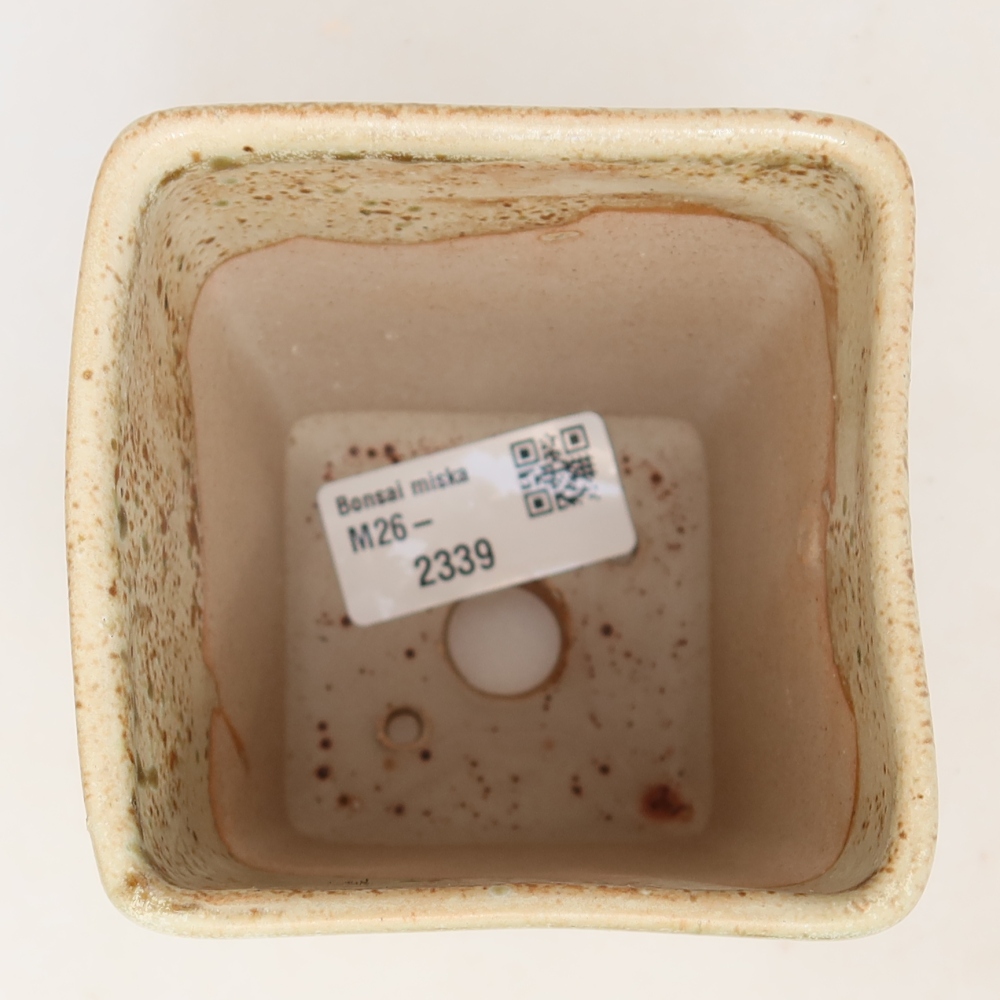 Ceramic bonsai pot, 7.5 x 7.5 x 11 cm, beige