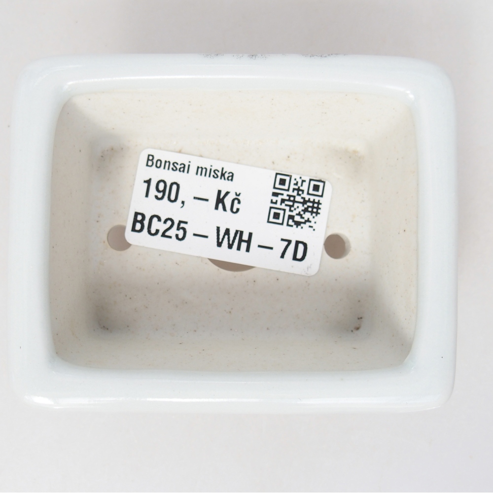 Mini bonsai bowl 8 x 6 x 3 cm, white