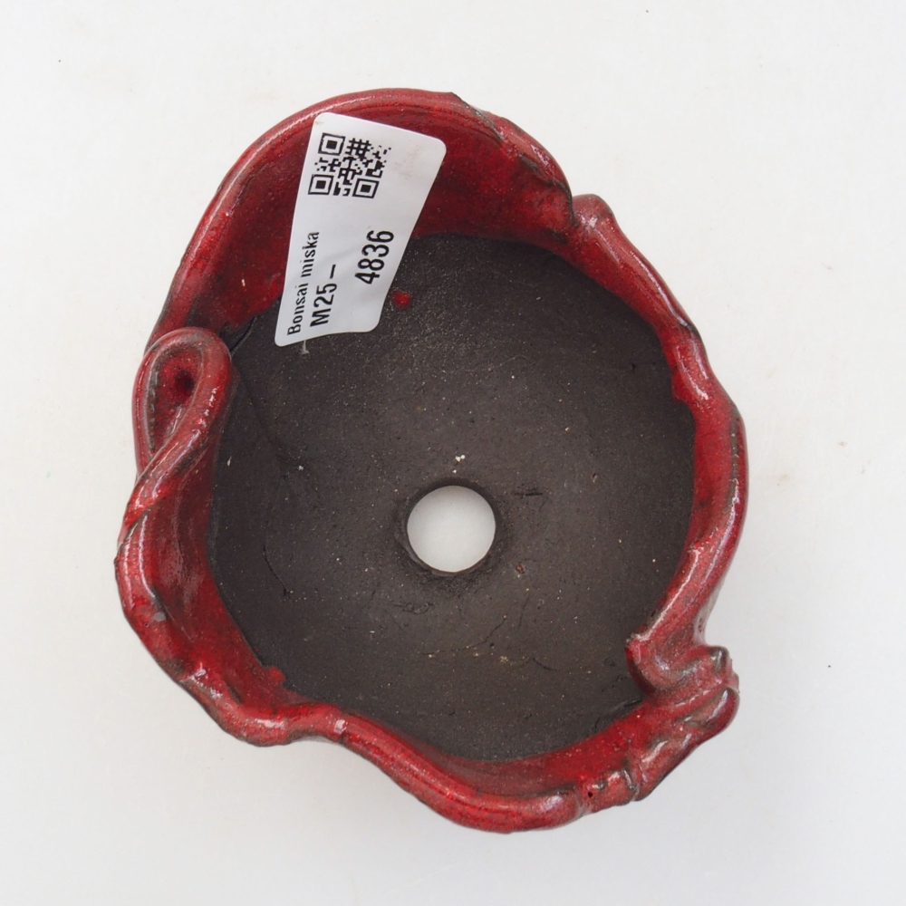 Ceramic shell 9 x 8 x 6 cm, color red
