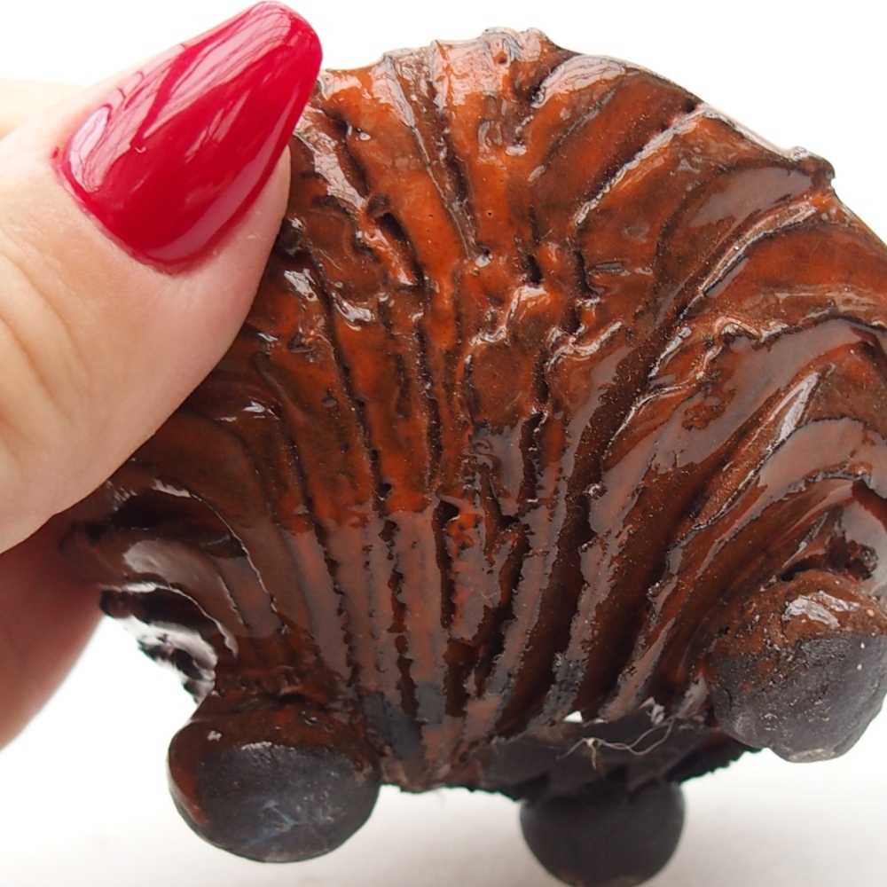 Ceramic Shell 8,5 x 8,5 x 5 cm , colour orange