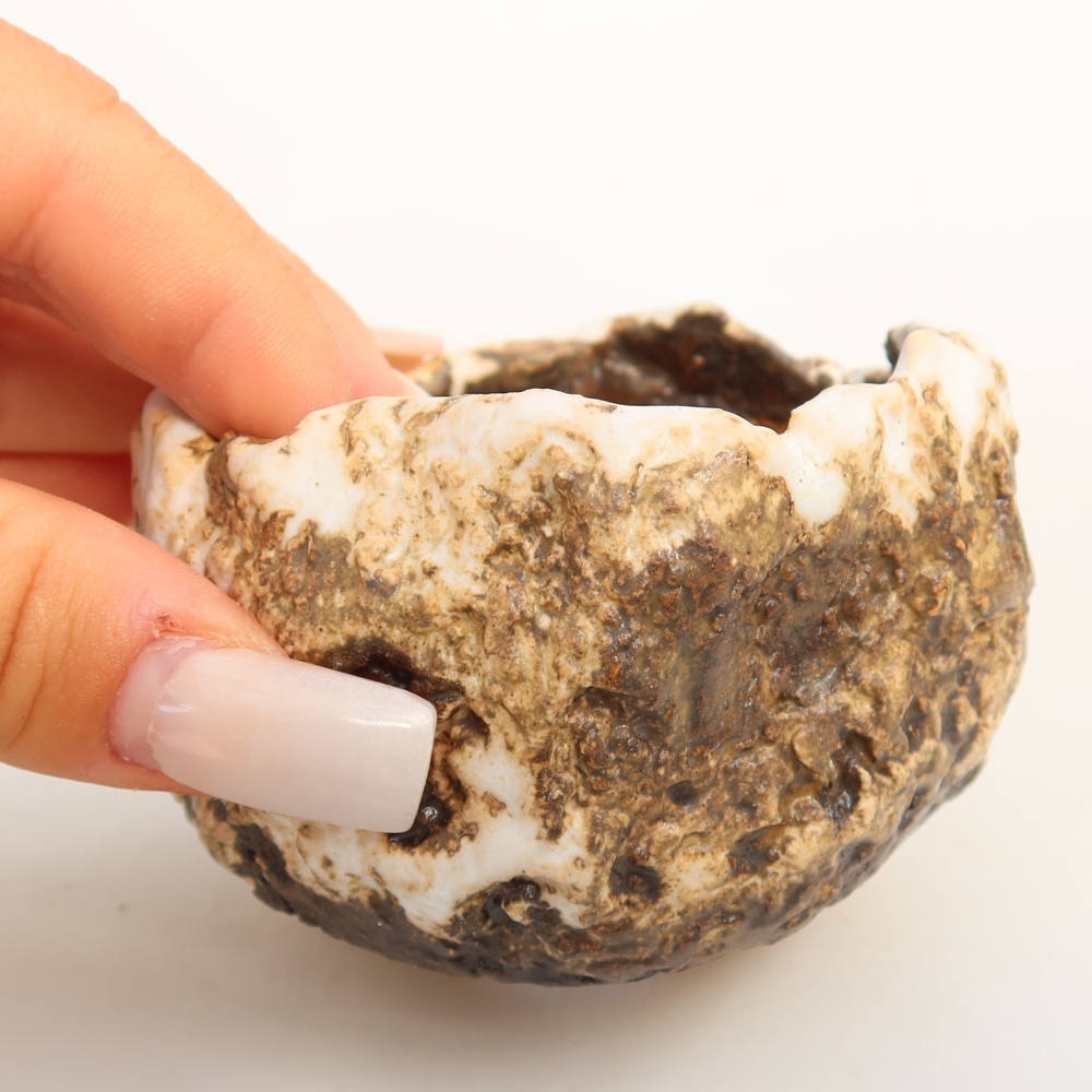 Ceramic Shell, 7.5 x 7 x 5 cm, white-brown