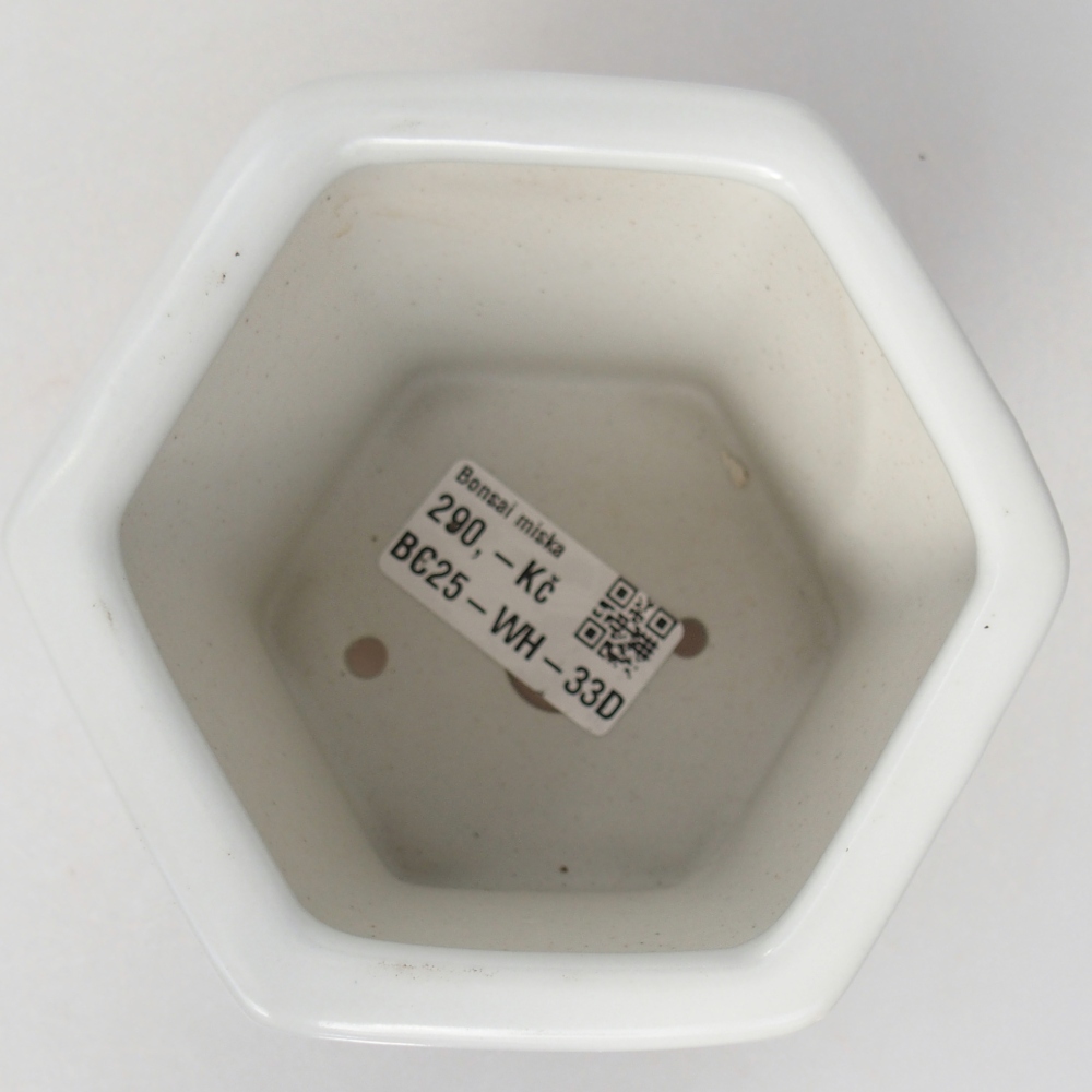 Ceramic bonsai bowl 10,5 x 9,5 x 9 cm, colour white