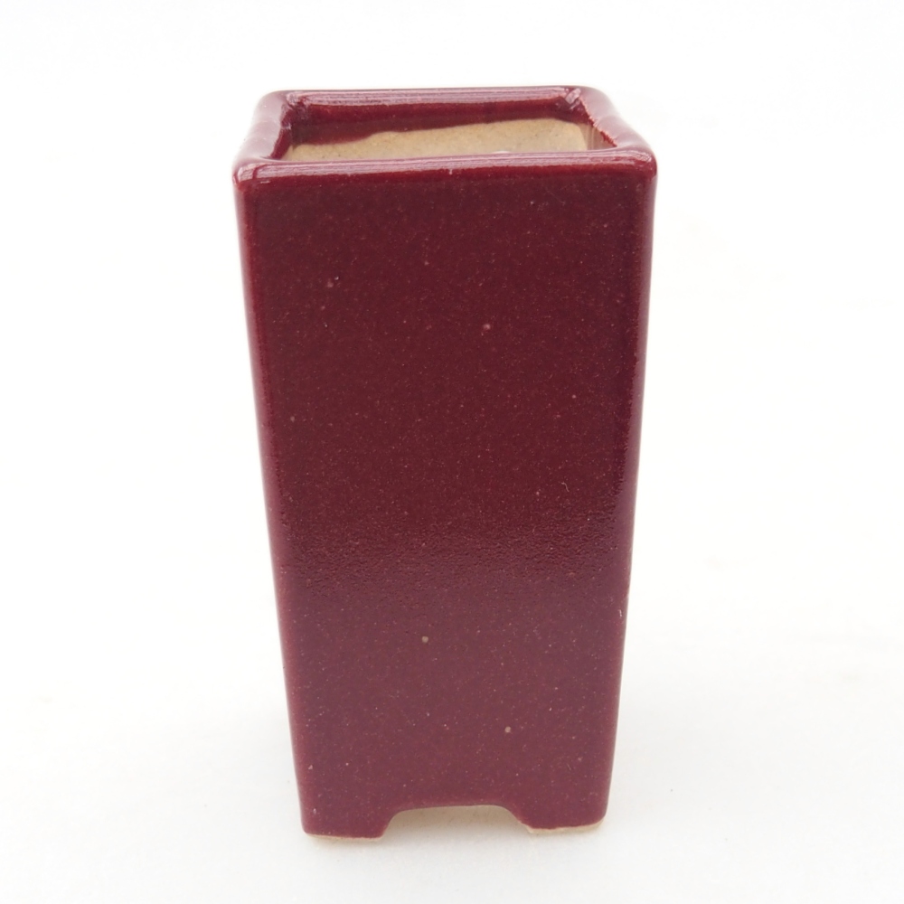Mini bonsai bowl 3 x 3 x 5,5 cm, burgundy