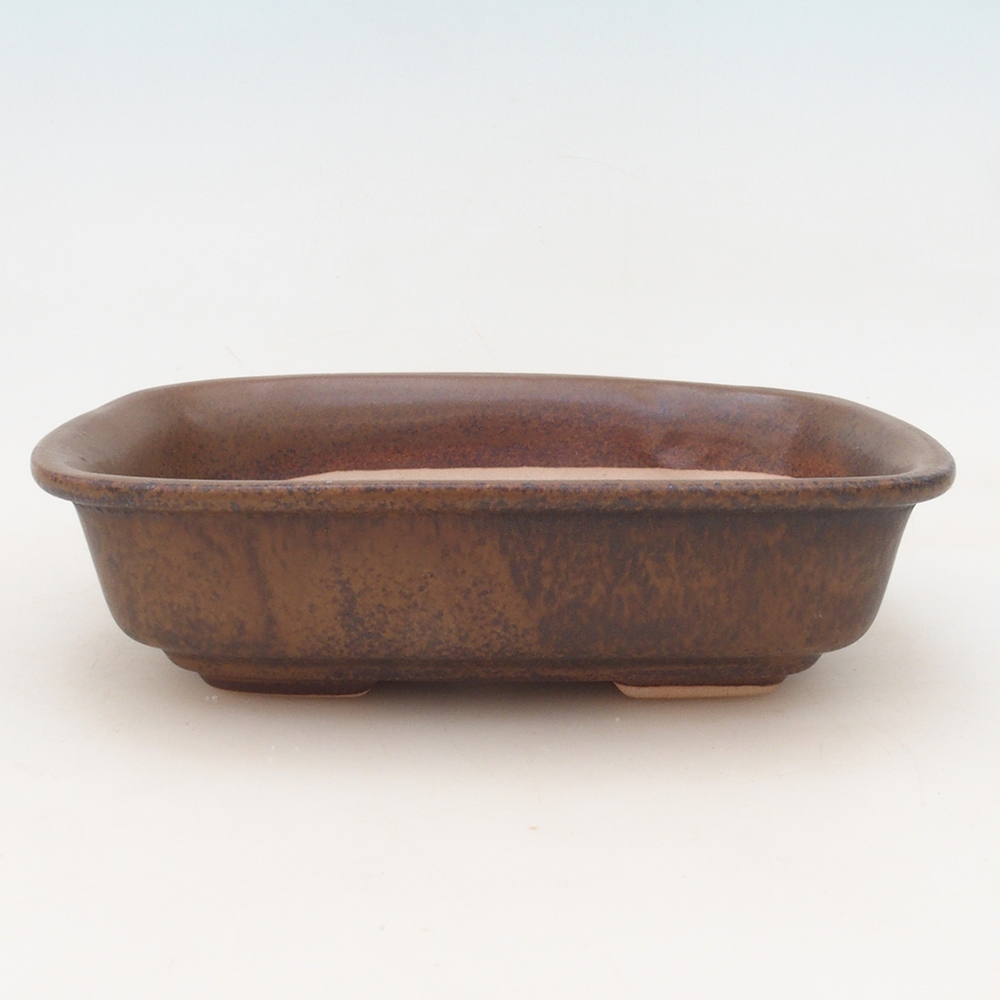 Bonsai bowl + saucer H02 - brown