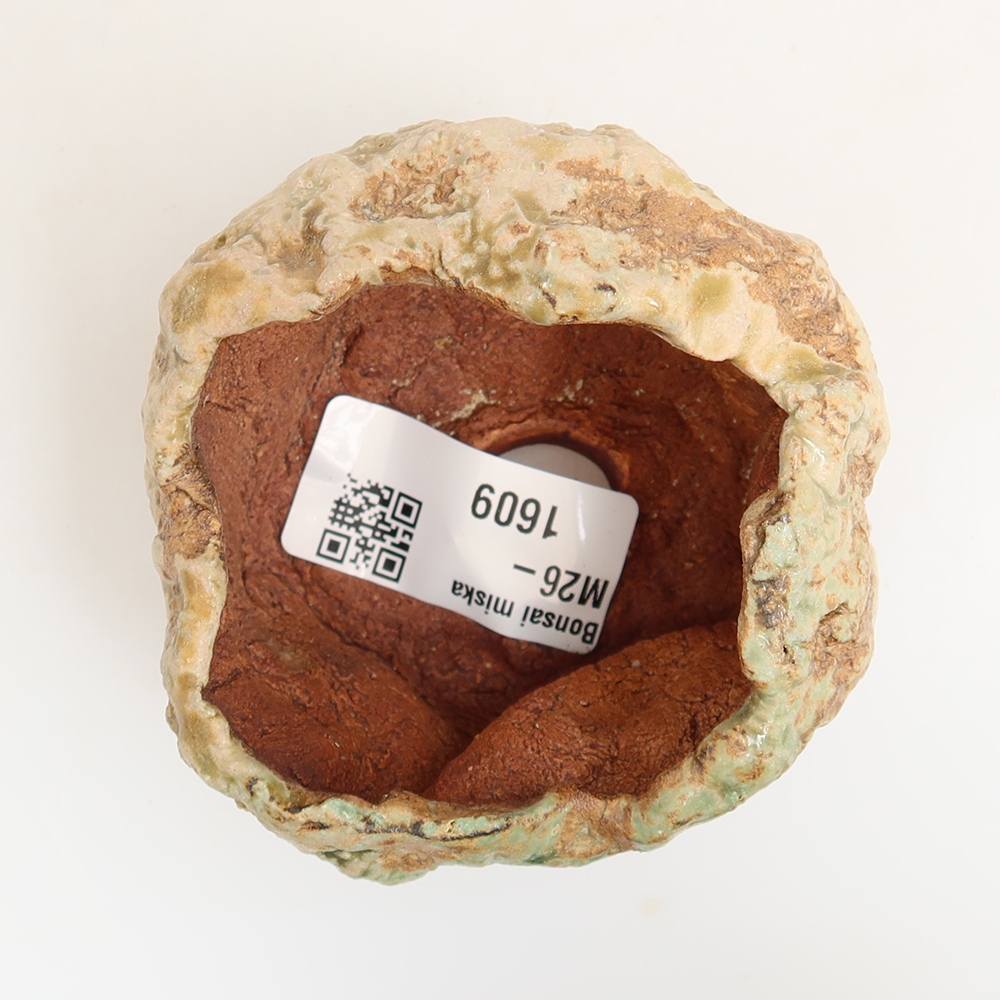 Ceramic Shell, 6 x 6 x 5 cm, green