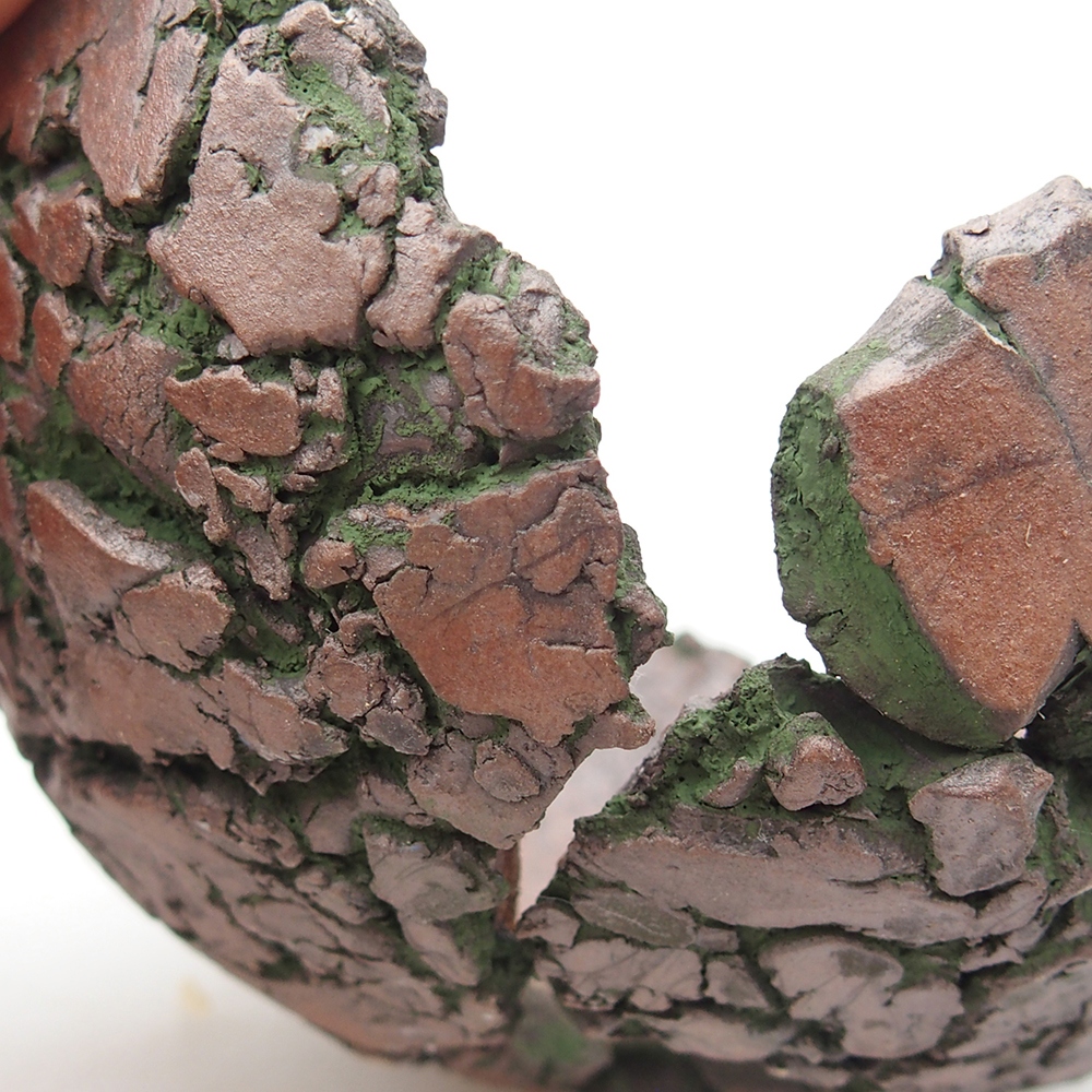 Ceramic Shell 9 x 9,5 x 5,5 cm , colour green