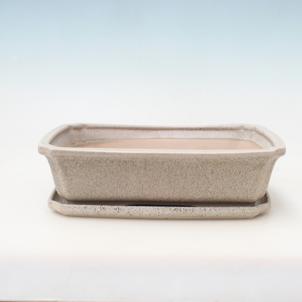 Bonsai pot + saucer H07 - 30 x 20.5 x 8 cm. - beige