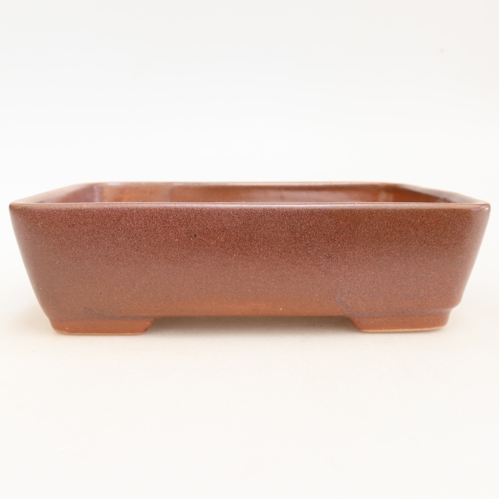 Ceramic bonsai pot, 18 x 13 x 5 cm, burgundy