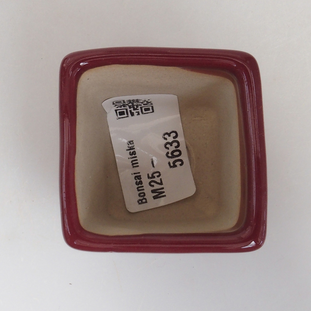 Mini bonsai bowl 4,5 x 4,5 x 4,5 cm, color burgundy