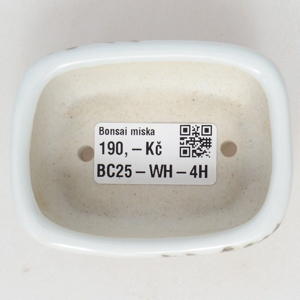 Mini bonsai bowl 8 x 6 x 3 cm, white