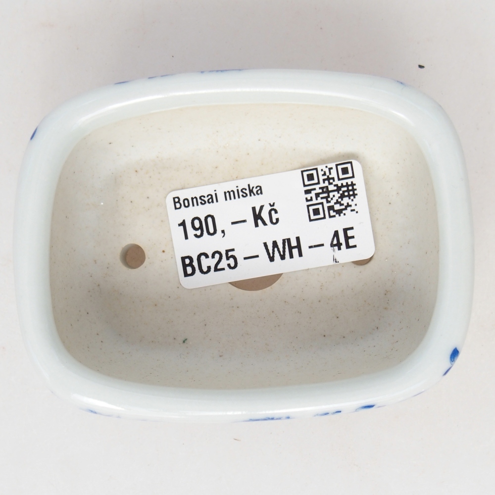 Mini bonsai bowl 8 x 6 x 3 cm, white