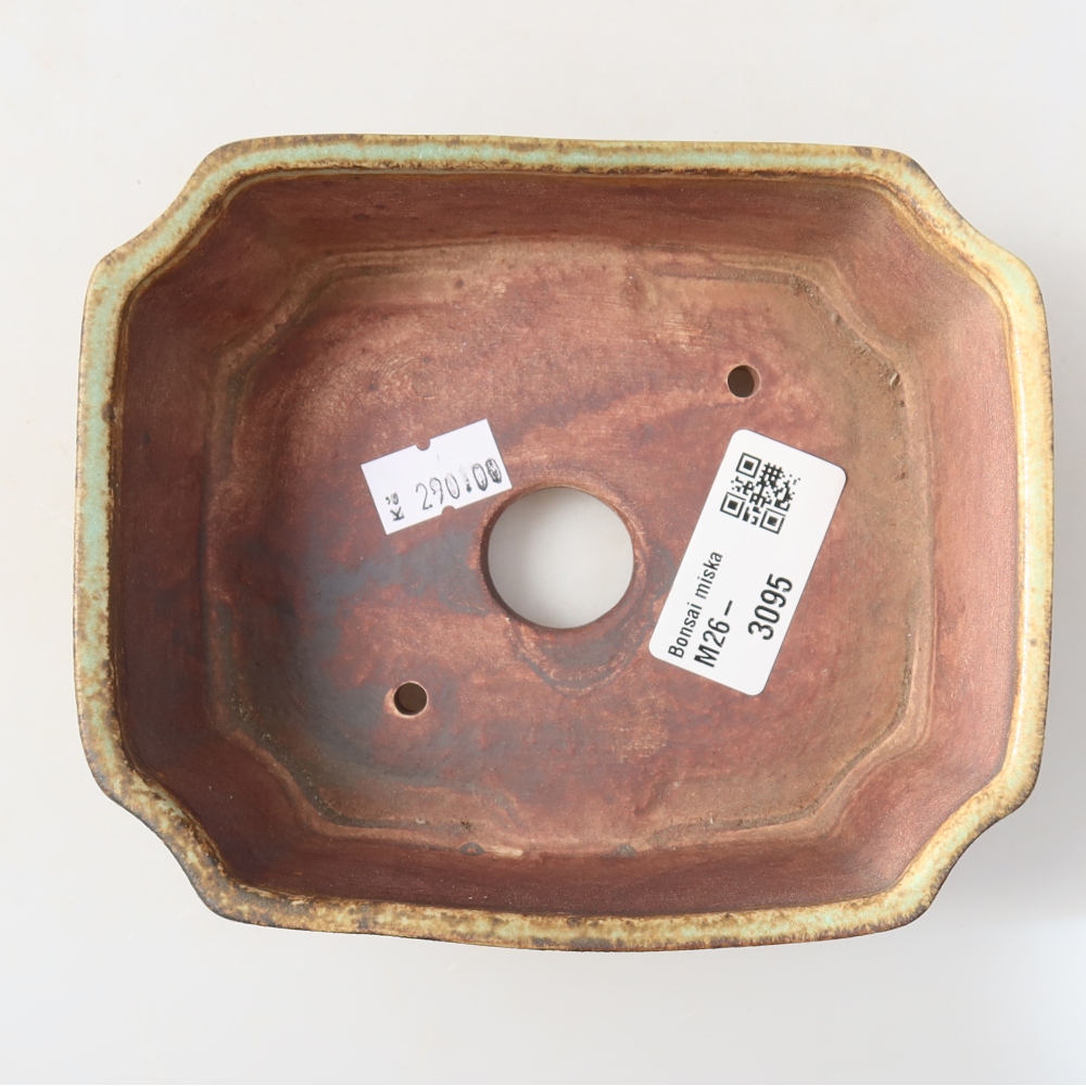 Ceramic bonsai pot, 14 x 11.5 x 4.5 cm, green
