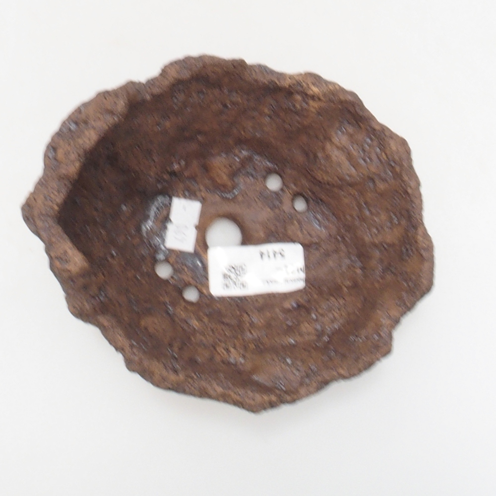 Ceramic shell 13 x 11 x 12 cm, brown color
