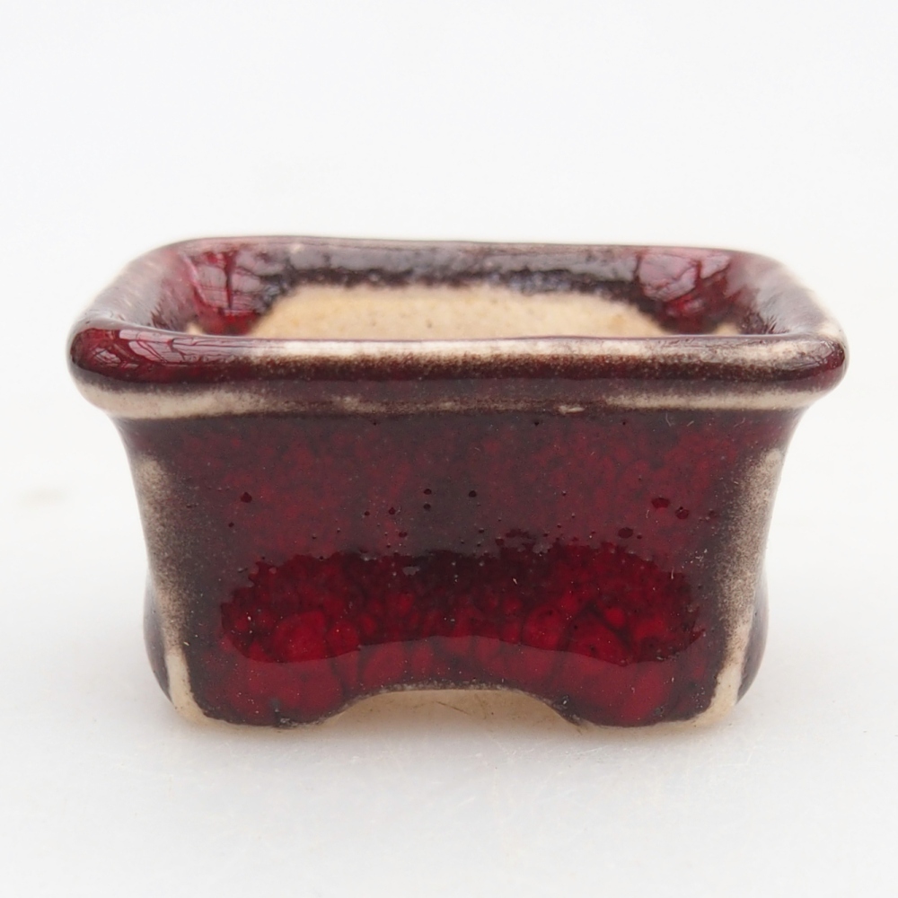 Mini bonsai bowl 3 x 2,5 x 2 cm, colour red
