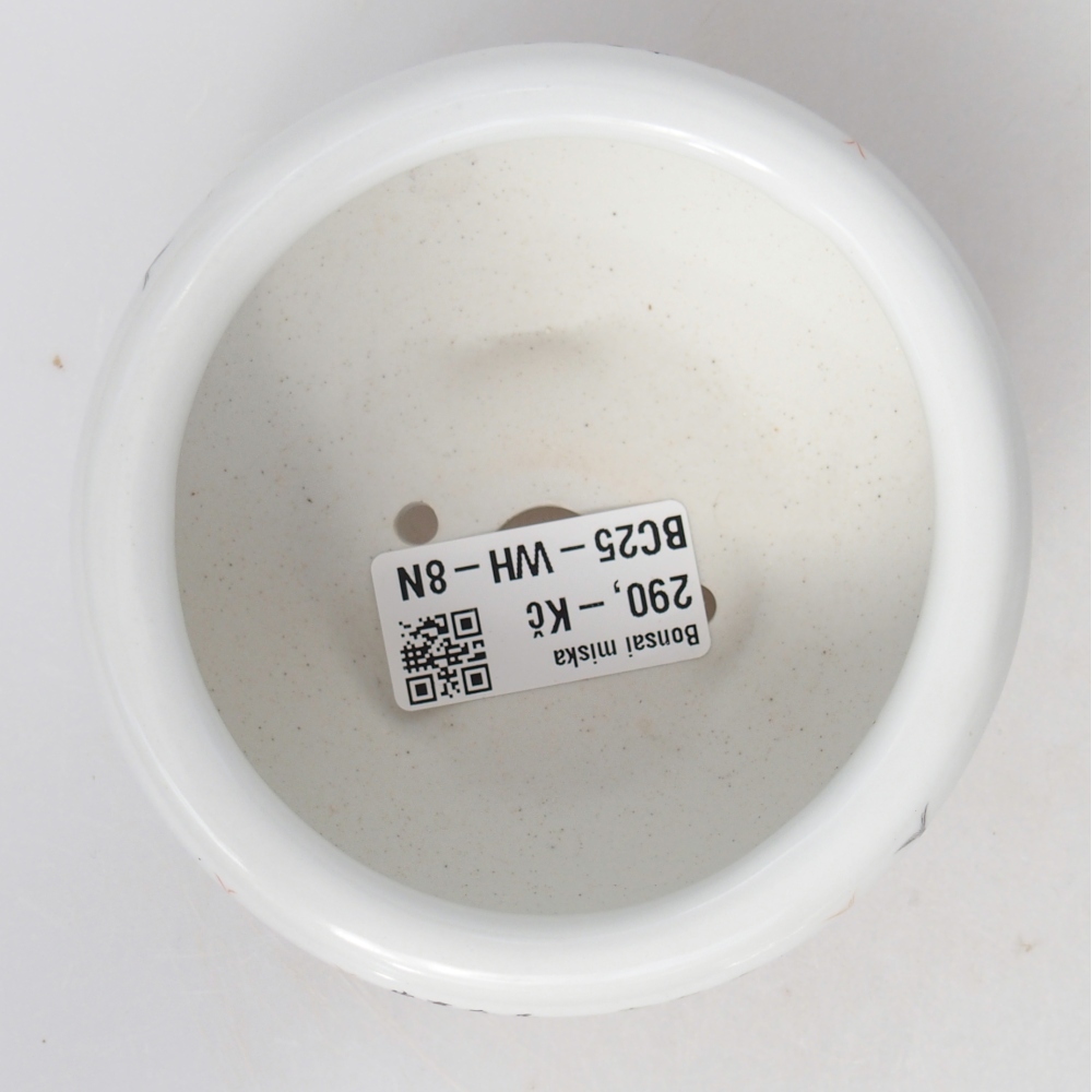 Ceramic bonsai bowl 10 x 10 x 5 cm, colour white