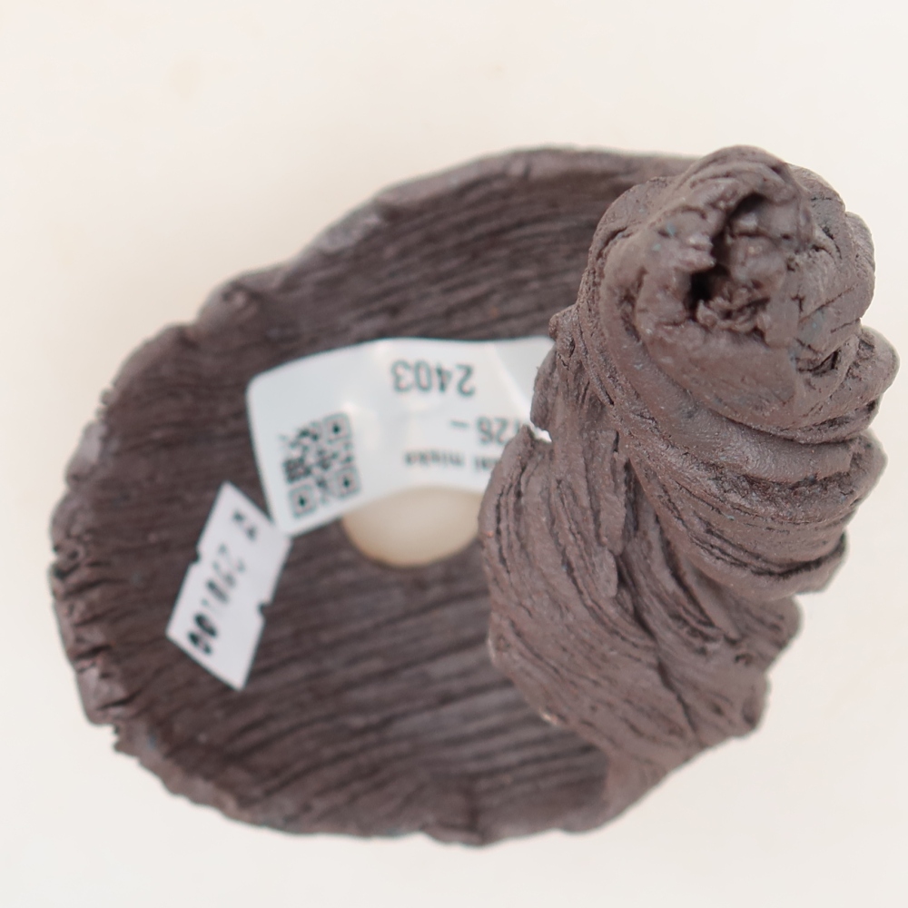 Ceramic Shell, 7.5 x 7.5 x 13 cm, brown