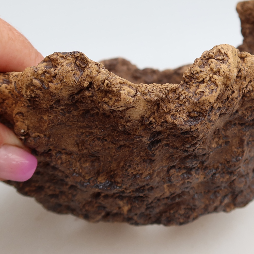 Ceramic Shell, 19.5 x 16 x 13 cm, brown
