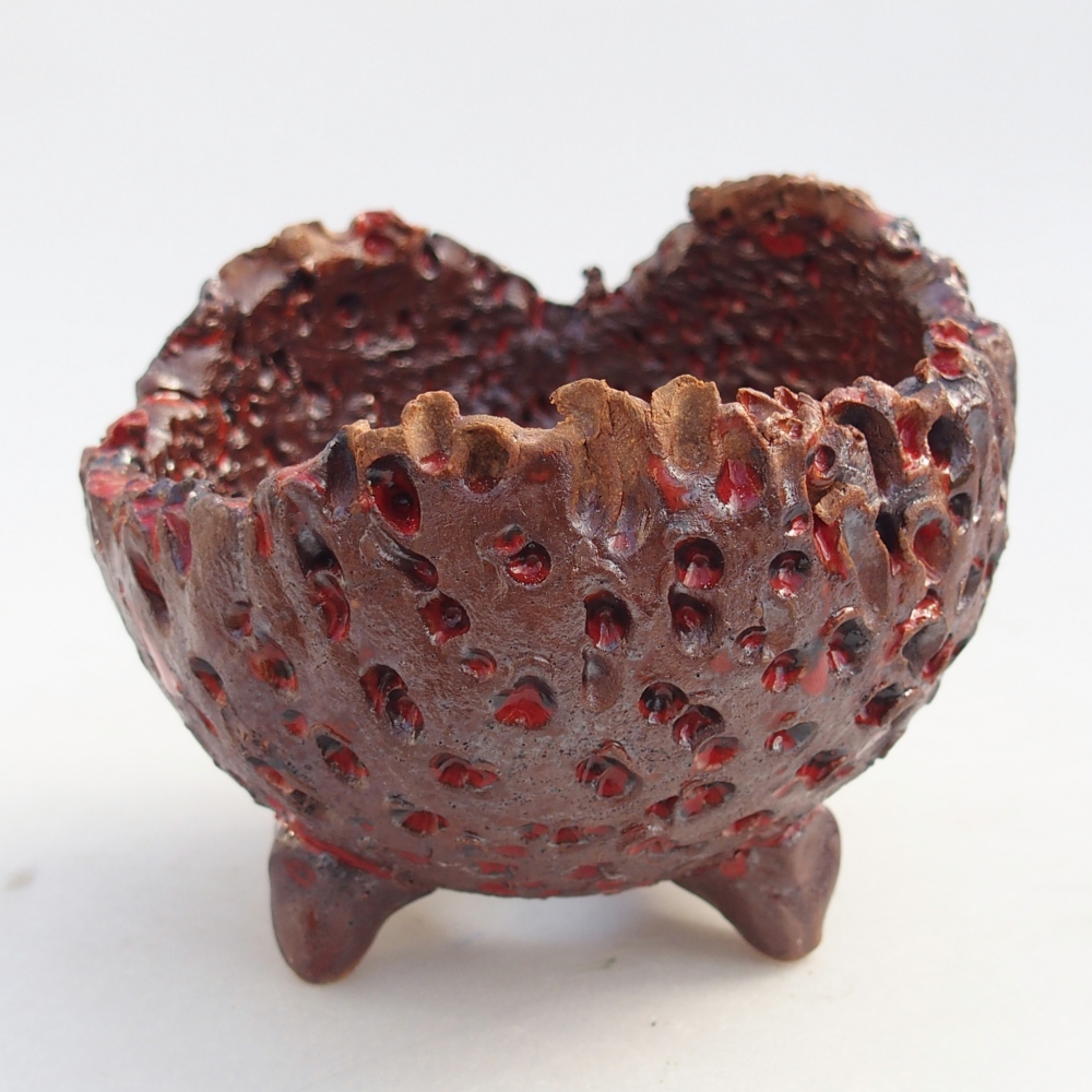 Ceramic Shell 10 x 9,5 x 8 cm , colour brown