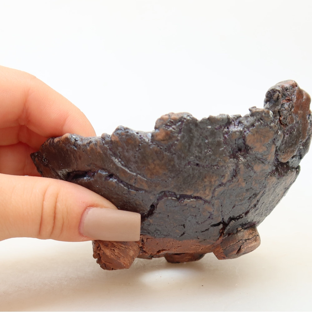 Ceramic Shell  10.5 x 10.5 x 6 cm, brown