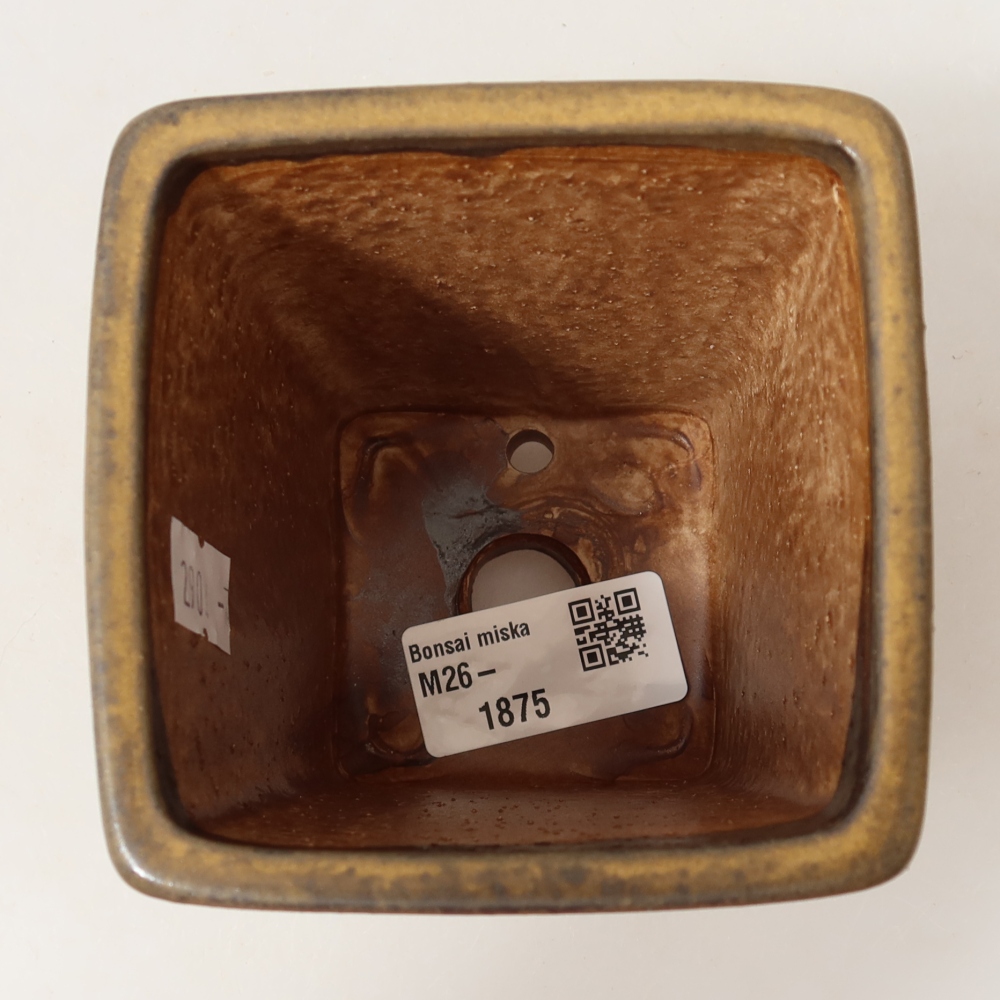 Ceramic bonsai pot, 8.5 x 8.5 x 10.5 cm, brown