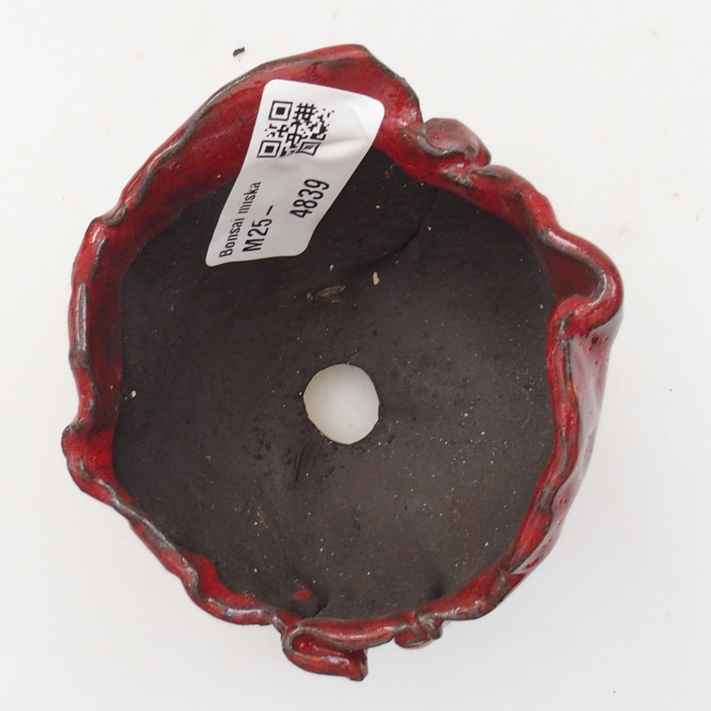 Ceramic shell 8 x 7 x 7 cm, color red