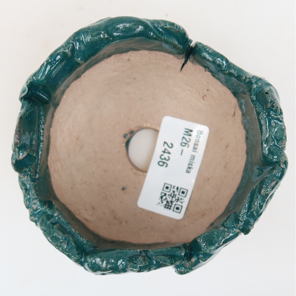 Ceramic Shell, 9 x 8.5 x 6 cm, green