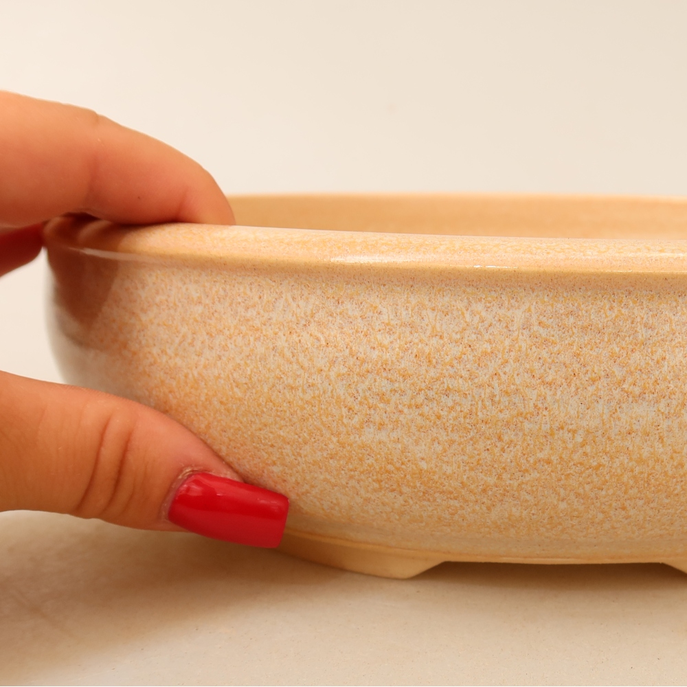 Ceramic bonsai pot, 22.5 x 22.5 x 6.5 cm, beige