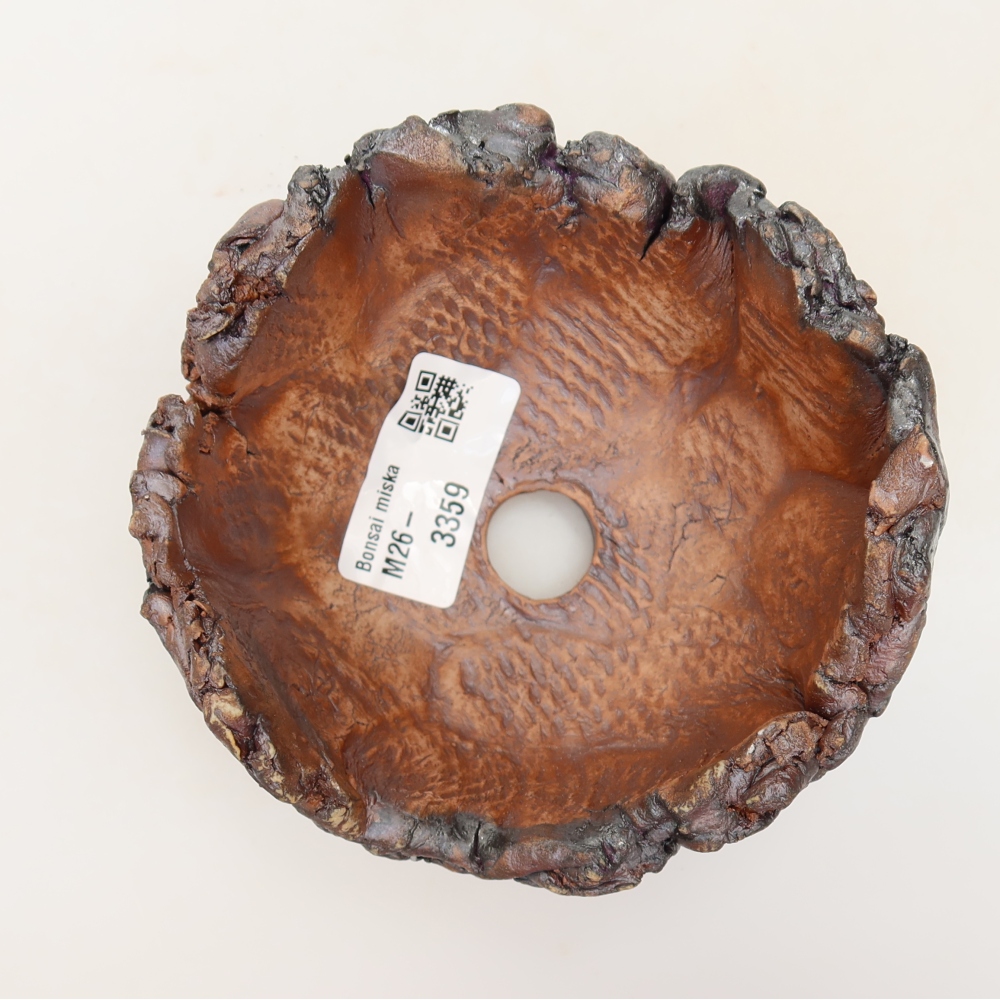 Ceramic Shell, 12 x 11 x 7 cm, brown