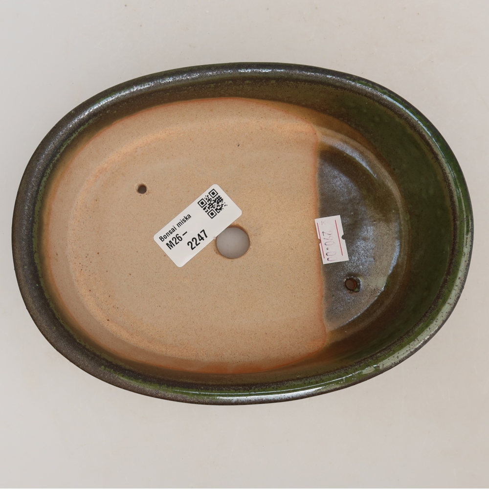 Ceramic bonsai pot, 19 x 14.5 x 5 cm, green