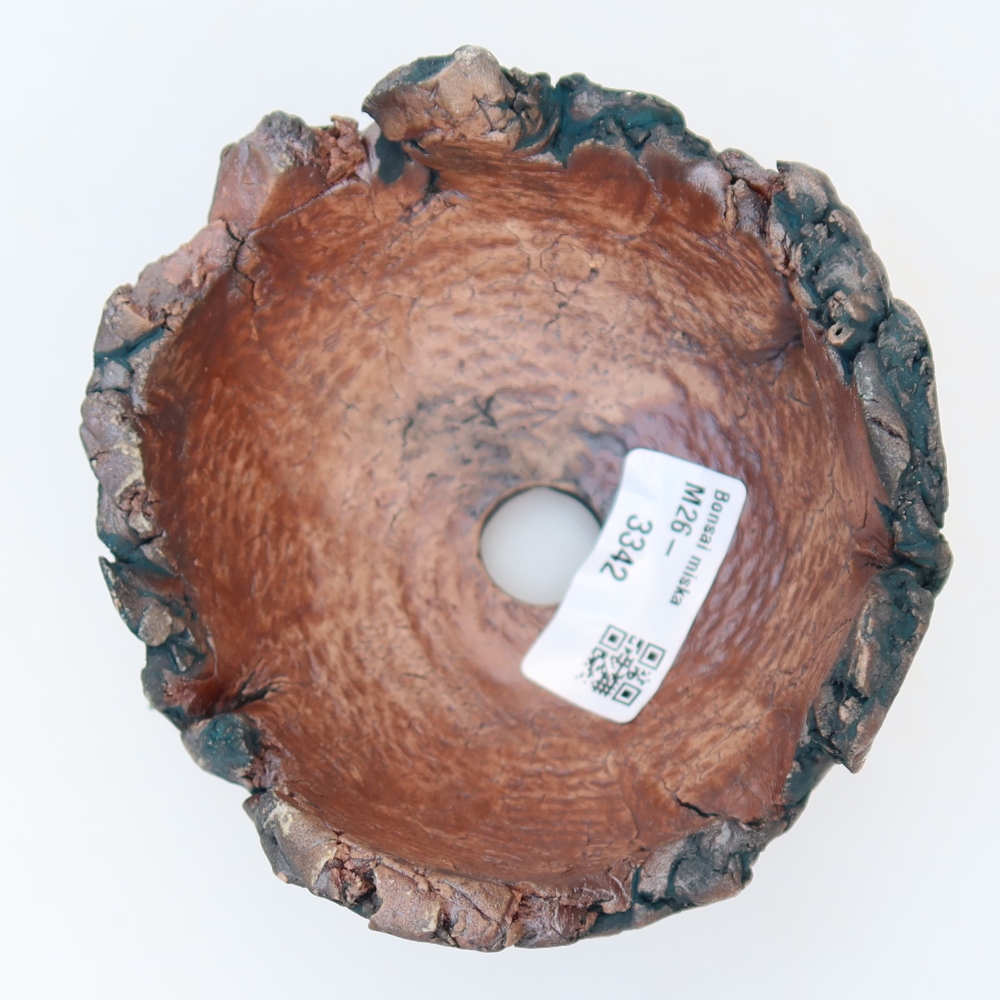 Ceramic Shell  11 x 11 x 7 cm, green