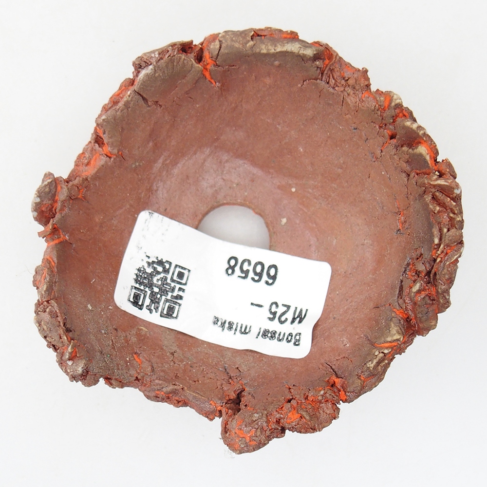 Ceramic Shell 7 x 7 x 4 cm , colour orange