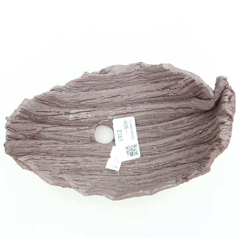 Ceramic Shell  14.5 x 11 x 12 cm, brown