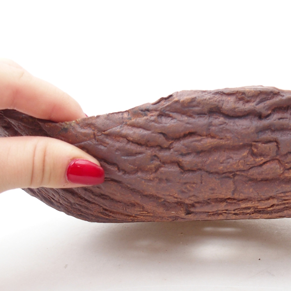 Ceramic Shell 24 x 17 x 7 cm , colour brown