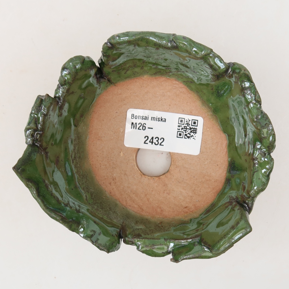Ceramic Shell  11 x 10.5 x 5.5 cm, green