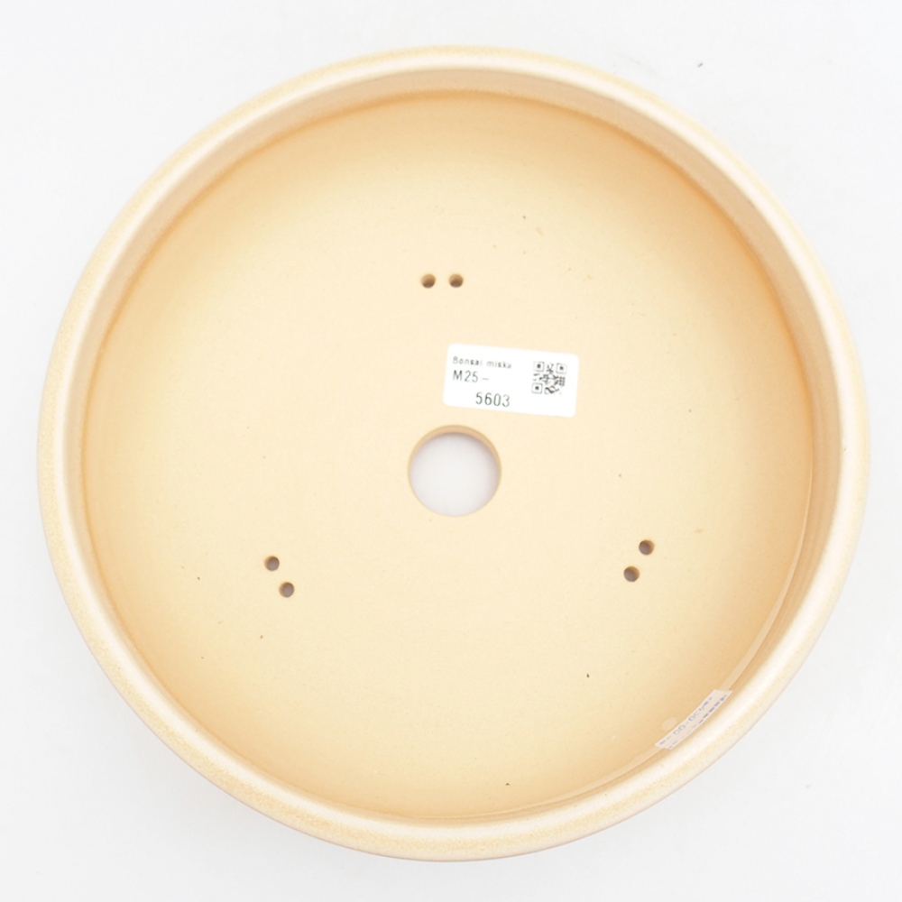 Ceramic bonsai pot 21.5 x 21.5 x 7 cm, beige